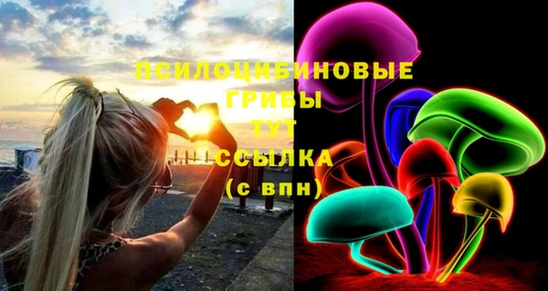 СК Новокубанск
