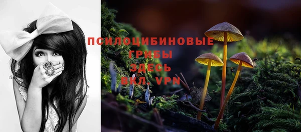 spice Алексин
