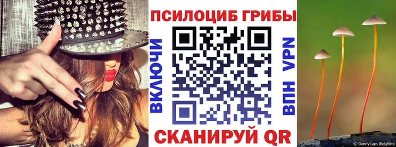 Псилоцибиновые грибы Psilocybe  где найти   Петровск 